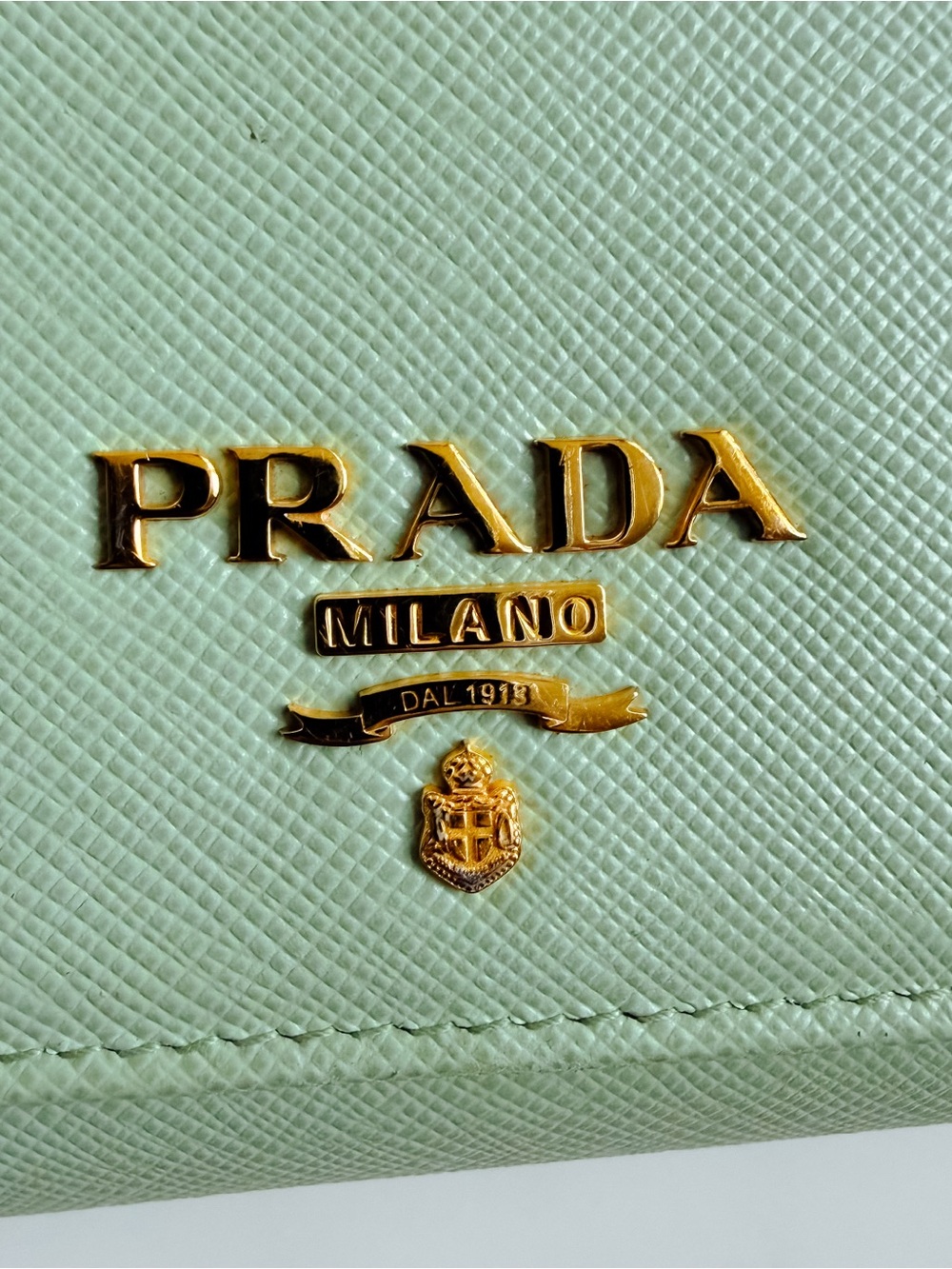 Prada Saffiano Mint green leather wallet on chain 🍃 - Picture 6 of 15